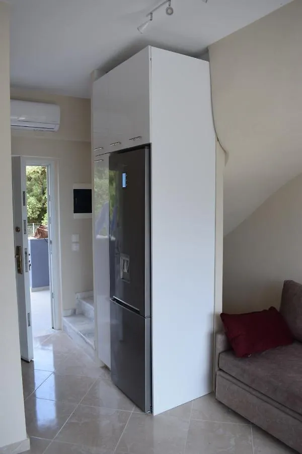 Akti Alegra III Villa Nikiti  Feriehus